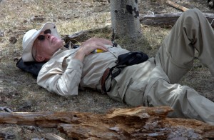 rest stop